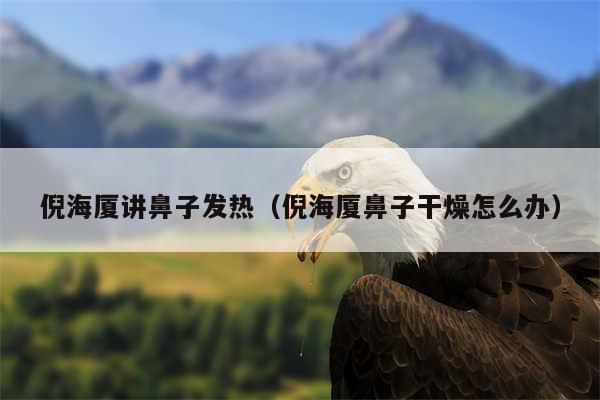 倪海厦讲鼻子发热(倪海厦鼻子干燥怎么办)