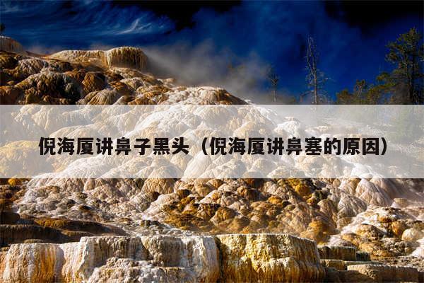 倪海厦讲鼻子黑头（倪海厦讲鼻塞的原因）
