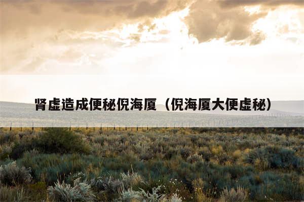 肾虚造成便秘倪海厦（倪海厦大便虚秘）