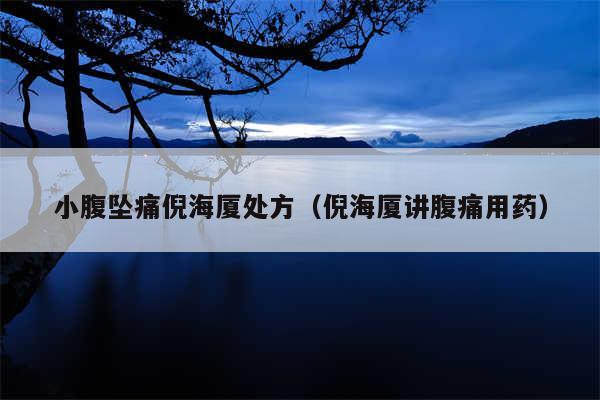 小腹坠痛倪海厦处方(倪海厦讲腹痛用药)