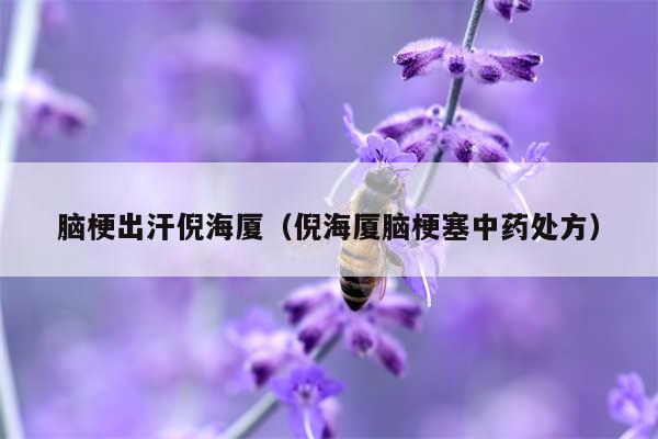 脑梗出汗倪海厦（倪海厦脑梗塞中药处方）