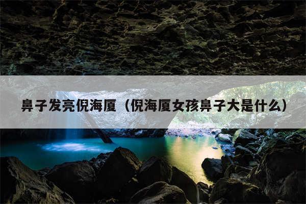 鼻子发亮倪海厦(倪海厦女孩鼻子大是什么)