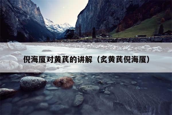 倪海厦对黄芪的讲解(炙黄芪倪海厦)