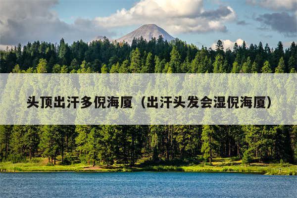 头顶出汗多倪海厦(出汗头发会湿倪海厦)