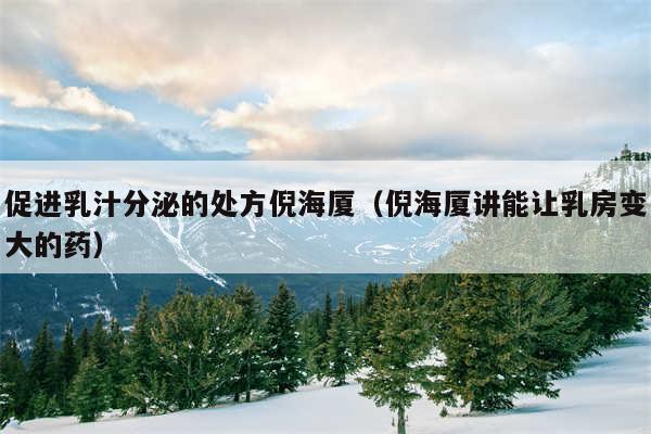 促进乳汁分泌的处方倪海厦（倪海厦讲能让乳房变大的药）
