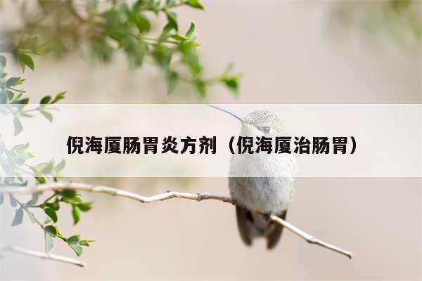 倪海厦肠胃炎方剂(倪海厦治肠胃)
