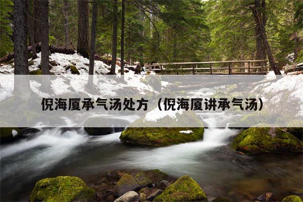 倪海厦承气汤处方(倪海厦讲承气汤)