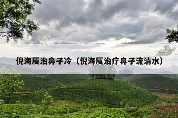 倪海厦治鼻子冷(倪海厦治疗鼻子流清水)