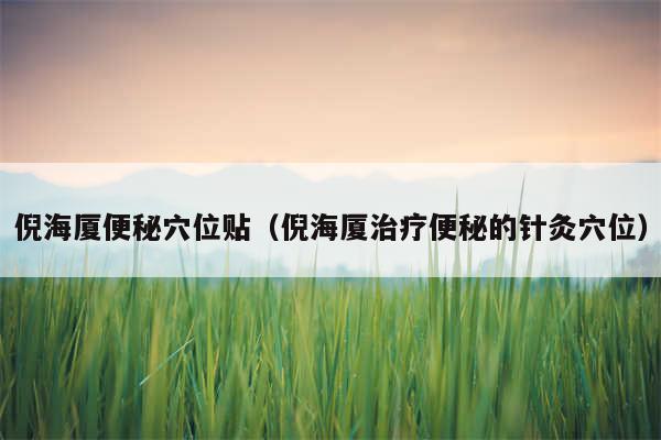 倪海厦便秘穴位贴(倪海厦治疗便秘的针灸穴位)