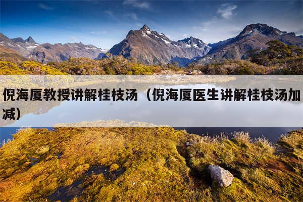 倪海厦教授讲解桂枝汤(倪海厦医生讲解桂枝汤加减)