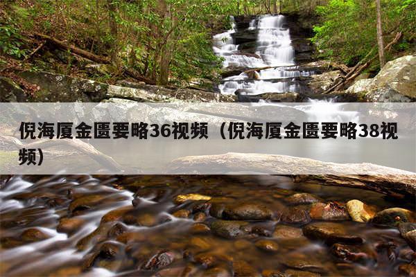 倪海厦金匮要略36视频（倪海厦金匮要略38视频）