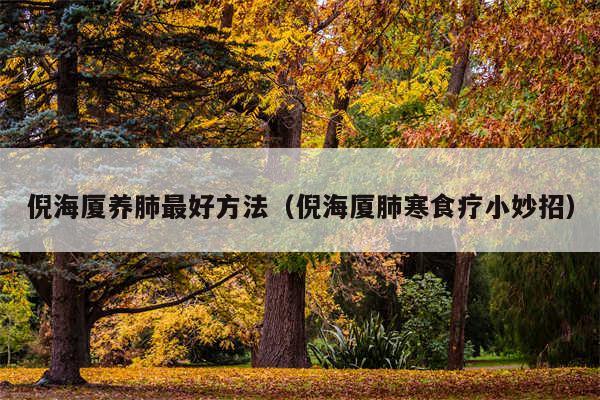 倪海厦养肺最好方法(倪海厦肺寒食疗小妙招)