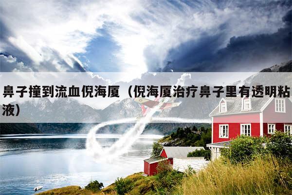 鼻子撞到流血倪海厦(倪海厦治疗鼻子里有透明粘液)