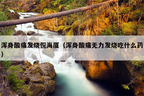 浑身酸痛发烧倪海厦(浑身酸痛无力发烧吃什么药)