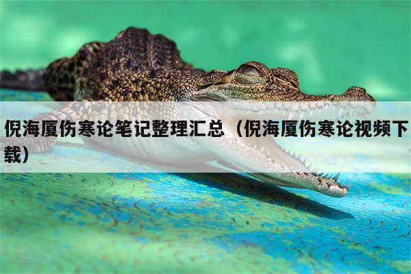 倪海厦伤寒论笔记整理汇总(倪海厦伤寒论视频下载)