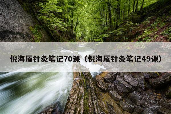 倪海厦针灸笔记70课（倪海厦针灸笔记49课）