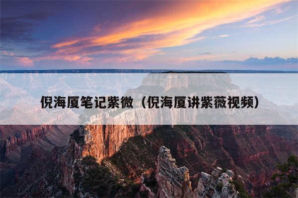倪海厦笔记紫微（倪海厦讲紫薇视频）