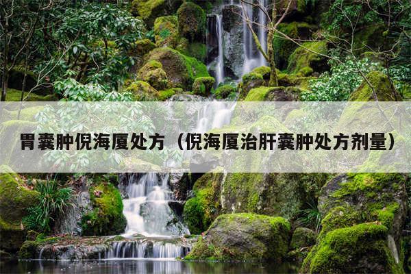 胃囊肿倪海厦处方（倪海厦治肝囊肿处方剂量）