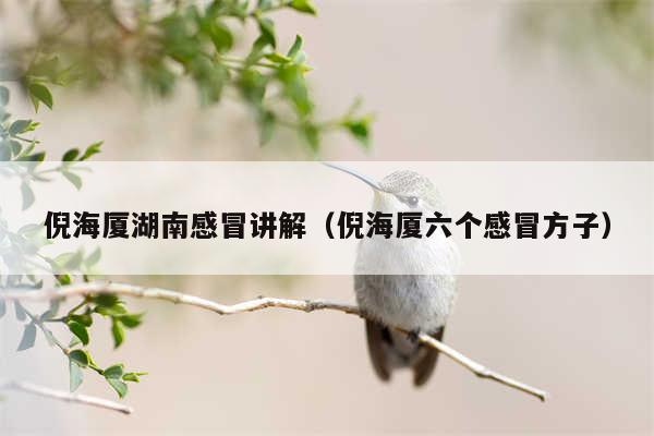 倪海厦湖南感冒讲解(倪海厦六个感冒方子)