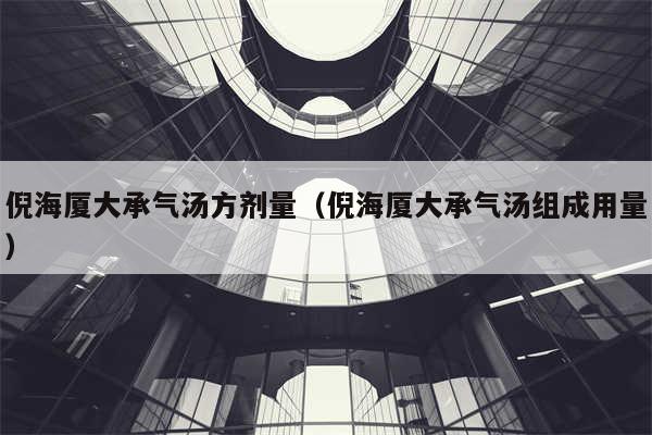 倪海厦大承气汤方剂量（倪海厦大承气汤组成用量）