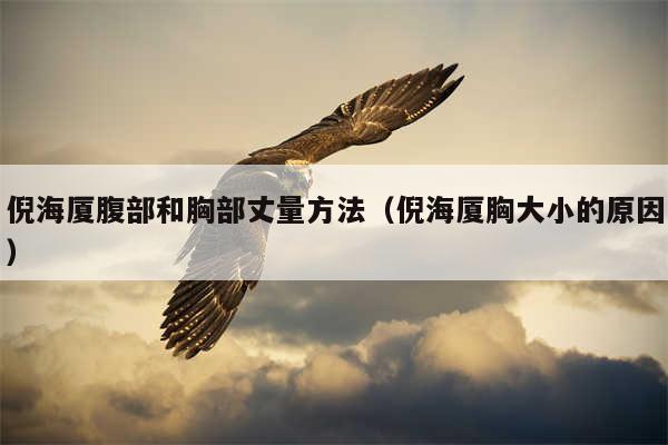 倪海厦腹部和胸部丈量方法（倪海厦胸大小的原因）