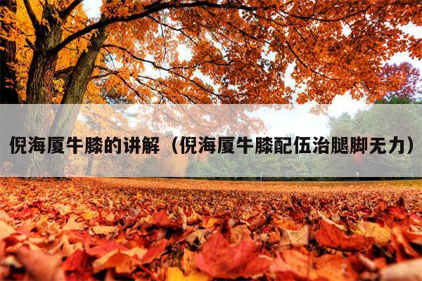 倪海厦牛膝的讲解(倪海厦牛膝配伍治腿脚无力)